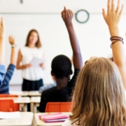 Reasons Your School Should Screen for Head Lice