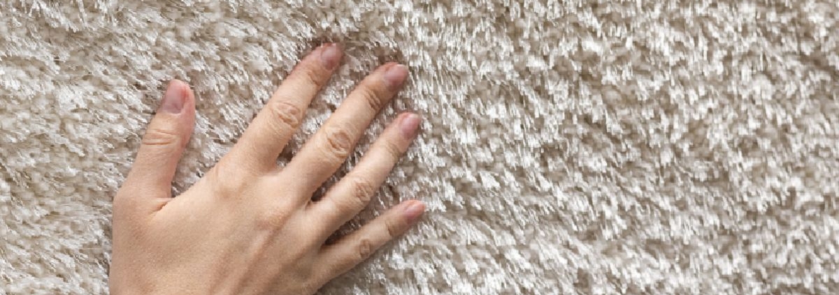 How Long Can Lice Live on Carpets and Couches?