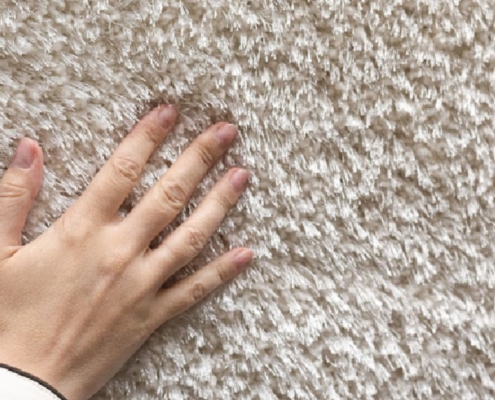 How Long Can Lice Live on Carpets and Couches?