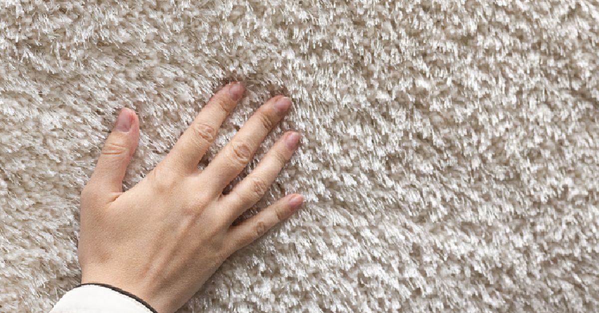How Long Can Lice Live on Carpets and Couches?