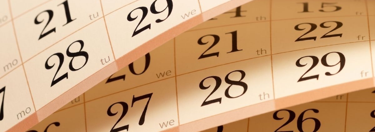 Are Head Lice More Active at Certain Times of Year?